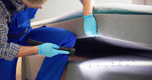 Best Emergency Pest Control  in Sweetser, IN